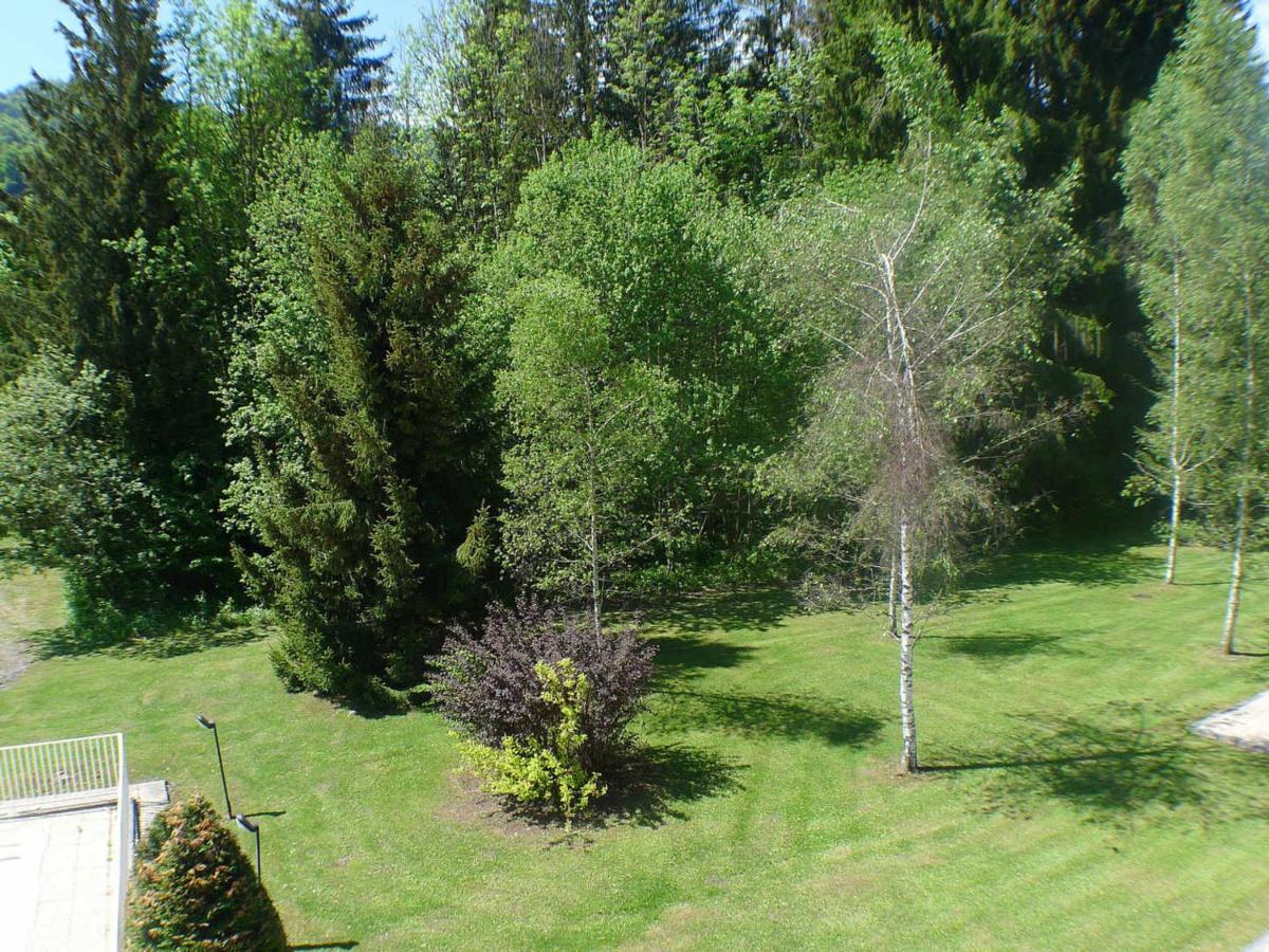 Studio Mansarde Avec Balcon, Piscine Et Parking Souterrain A Samoens - Fr-1-629-92 Екстериор снимка