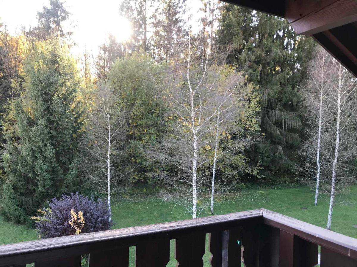 Studio Mansarde Avec Balcon, Piscine Et Parking Souterrain A Samoens - Fr-1-629-92 Екстериор снимка